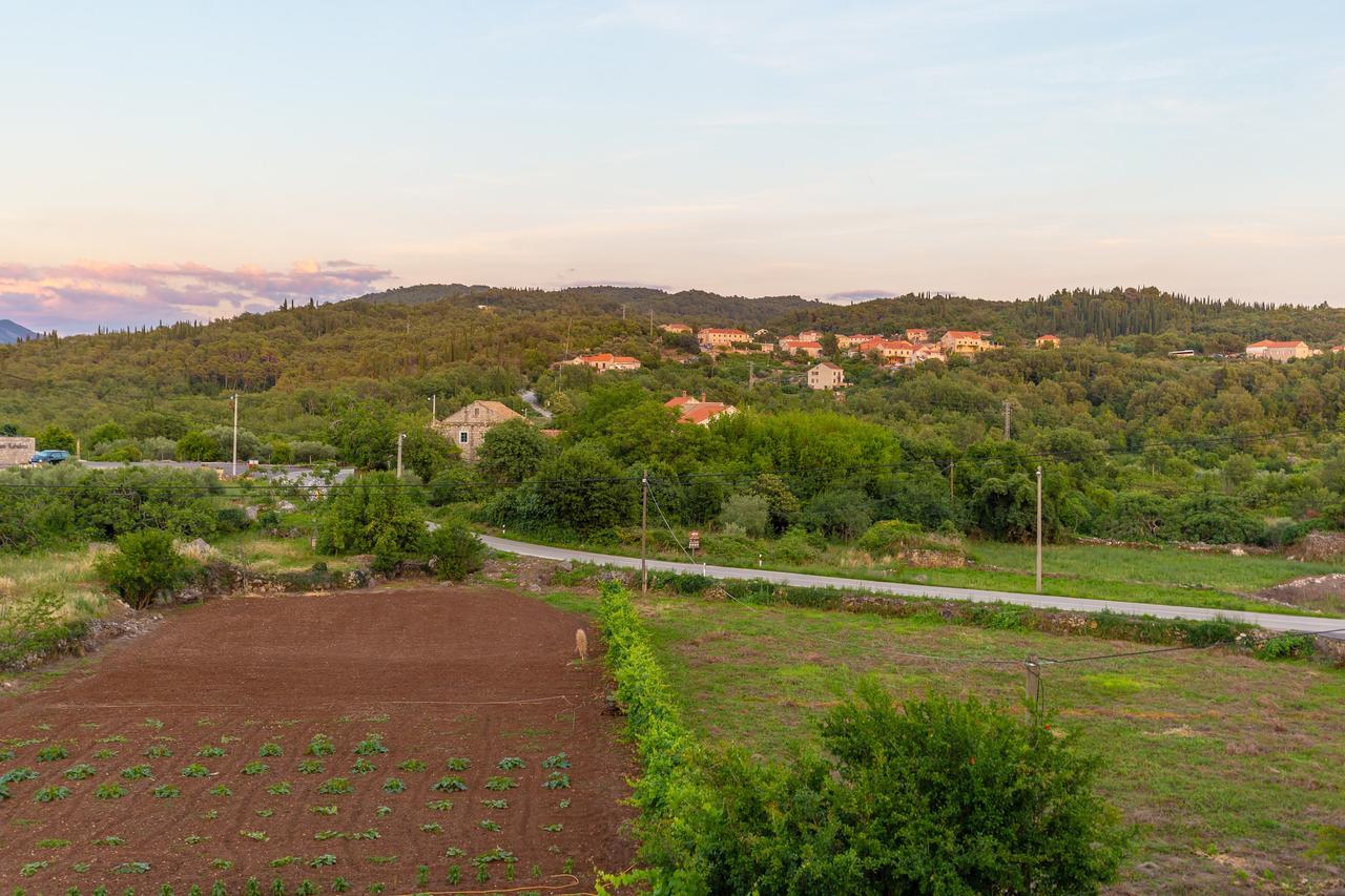 Konavle Apartments Zlatovisce Gruda Екстериор снимка